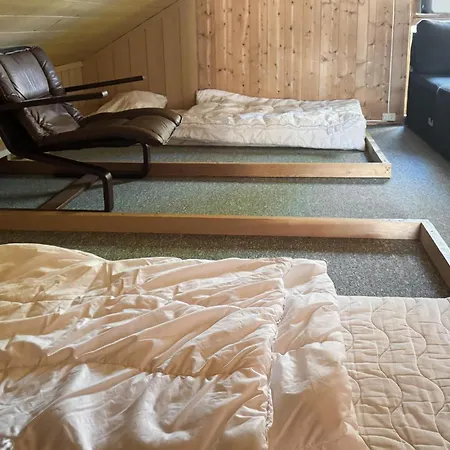 Pet Friendly In Apartment *