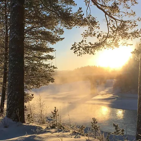 Pet Friendly In Ljordalen